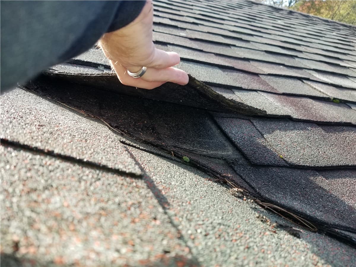 Lifted asphalt shingle requiring residential roof repair