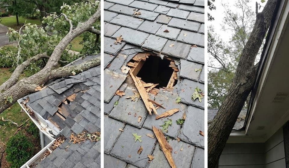 Tree impact and puncture damage across a residential roof